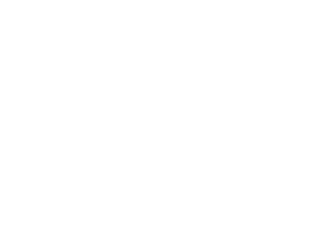Tunes in the Park